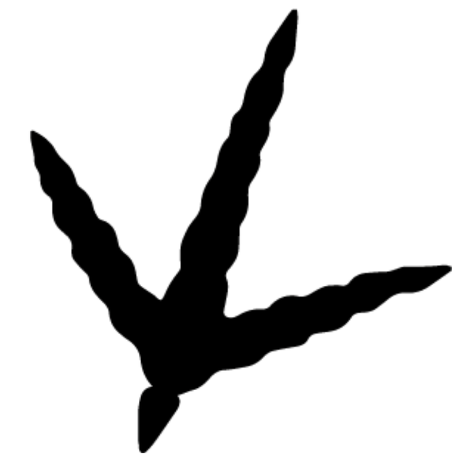 Branding